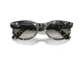 Ray-Ban Wayfarer Oval RB 2242 133371 53 Men, Women sunglasses