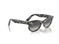 Ray-Ban Wayfarer Oval RB 2242 133371 53 Men, Women sunglasses