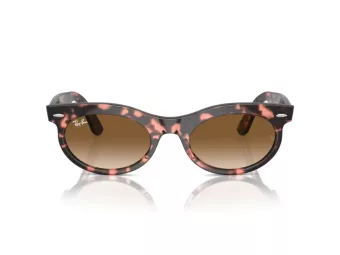   Ray-Ban Wayfarer Oval RB 2242 133451 53 Men, Women sunglasses