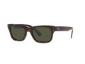Ray-Ban Mr Burbank RB 2283 902/31 52 Men sunglasses