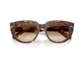 Ray-Ban Doreen RB 2286 141451 52 Women sunglasses