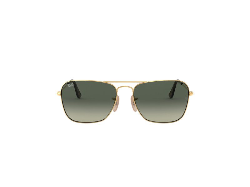 Ray shop ban caravan