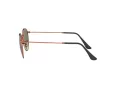 Ray-Ban Round Metal RB 3447 9002/A6 50 Men sunglasses