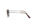 Ray-Ban Round Metal RB 3447 9230/R5 47 Men sunglasses