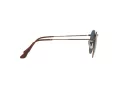 Ray-Ban Round Metal RB 3447 9230/R5 47 Men sunglasses