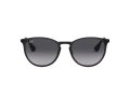 Ray-Ban Erika Metal RB 3539 002/8G 54 Women sunglasses