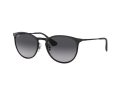 Ray-Ban Erika Metal RB 3539 002/8G 54 Women sunglasses