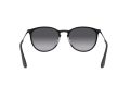 Ray-Ban Erika Metal RB 3539 002/8G 54 Women sunglasses