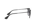 Ray-Ban Erika Metal RB 3539 002/8G 54 Women sunglasses