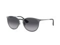 Ray-Ban Erika Metal RB 3539 192/8G 54 Women sunglasses