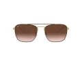 Ray-Ban RB 3588 905513 55 Men sunglasses