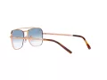 Ray-Ban New Caravan 3636 92023F 55 Men, Women sunglasses