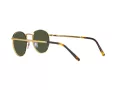 Ray-Ban New Round RB 3637 9196/31 53 Men, Women sunglasses