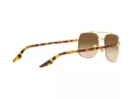 Ray-Ban RB 3699 001/51 59 Men, Women sunglasses