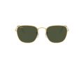 Ray-Ban Frank RB 3857 9196/31 51 Men, Women sunglasses