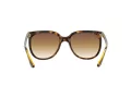 Ray-Ban Cats 1000 RB 4126 710/51 57 Women sunglasses