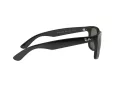 Ray-Ban Justin RB 4165 601/71 55 Men sunglasses