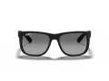 Ray-Ban Justin RB 4165 622/T3 55 Men sunglasses