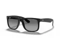 Ray-Ban Justin RB 4165 622/T3 55 Men sunglasses
