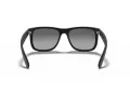 Ray-Ban Justin RB 4165 622/T3 55 Men sunglasses