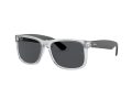 Ray-Ban Justin RB 4165 6512/87 55 Men sunglasses