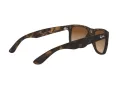 Ray-Ban Justin RB 4165 710/13 51 Men sunglasses
