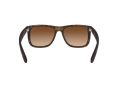 Ray-Ban Justin RB 4165 710/13 55 Men sunglasses