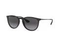 Ray-Ban Erika RB 4171 622/8G 54 Women sunglasses