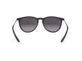 Ray-Ban Erika RB 4171 622/8G 54 Women sunglasses