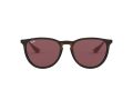 Ray-Ban Erika RB 4171 6391/75 54 Women sunglasses