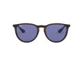 Ray-Ban Erika RB 4171 6392/76 54 Women sunglasses