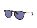 Ray-Ban Erika RB 4171 6392/76 54 Women sunglasses