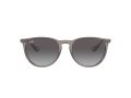Ray-Ban Erika RB 4171 6513/8G 54 Women sunglasses