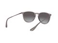 Ray-Ban Erika RB 4171 6513/8G 54 Women sunglasses