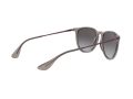 Ray-Ban Erika RB 4171 6513/8G 54 Women sunglasses