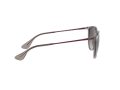 Ray-Ban Erika RB 4171 6513/8G 54 Women sunglasses