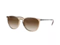 Ray-Ban Erika RB 4171 651413 54 Women sunglasses