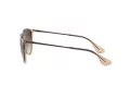 Ray-Ban Erika RB 4171 651413 54 Women sunglasses