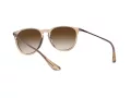 Ray-Ban Erika RB 4171 651413 54 Women sunglasses