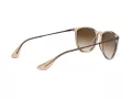 Ray-Ban Erika RB 4171 651413 54 Women sunglasses
