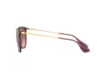 Ray-Ban Erika RB 4171 659114 54 Women sunglasses