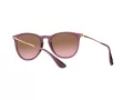 Ray-Ban Erika RB 4171 659114 54 Women sunglasses