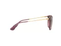 Ray-Ban Erika RB 4171 659114 54 Women sunglasses