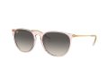Ray-Ban Erika RB 4171 674211 54 Women sunglasses