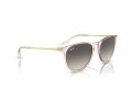 Ray-Ban Erika RB 4171 674211 54 Women sunglasses