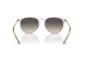 Ray-Ban Erika RB 4171 674211 54 Women sunglasses