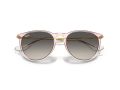 Ray-Ban Erika RB 4171 674211 54 Women sunglasses