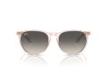 Ray-Ban Erika RB 4171 674211 54 Women sunglasses