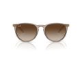 Ray-Ban Erika RB 4171 674413 54 Women sunglasses