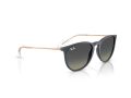 Ray-Ban Erika RB 4171 681311 54 Women sunglasses